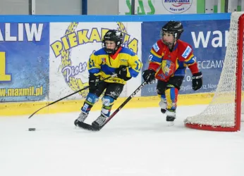 Dekalog młodego hokeisty