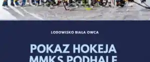 Pokaz hokeja młodzieżowych drużyn MMKS Podhale!