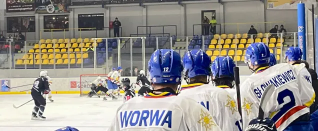 Rozstrzygnęły karne